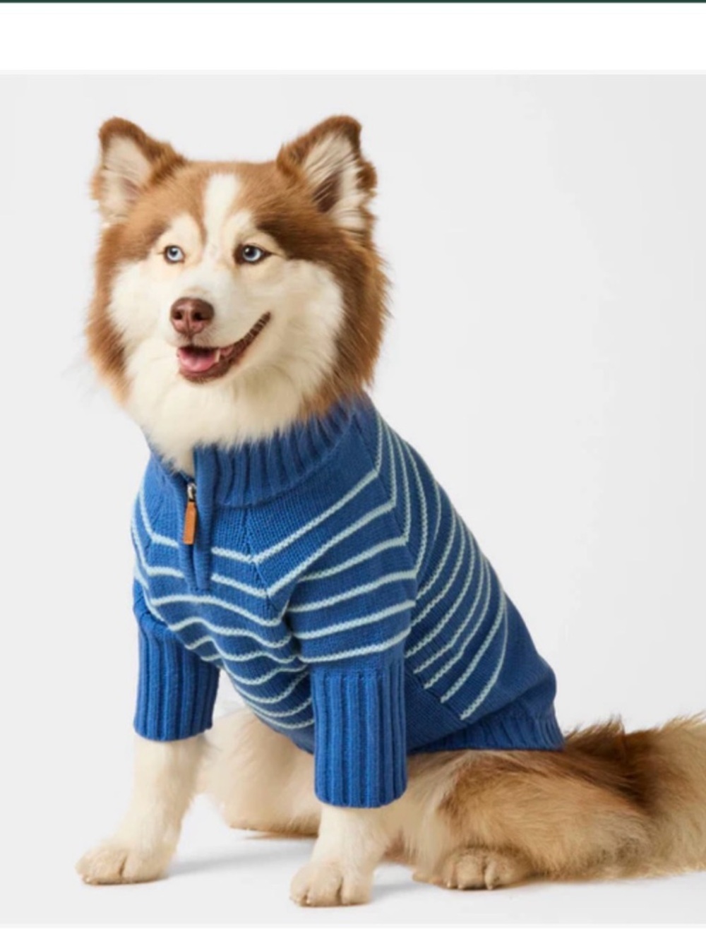 The Foggy Dog quarter zip stripped sweater